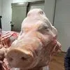 головы свиные  в Омске 3