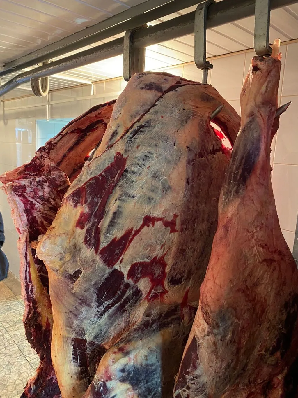  мясо говядина пром, быки-360 в Омске 6