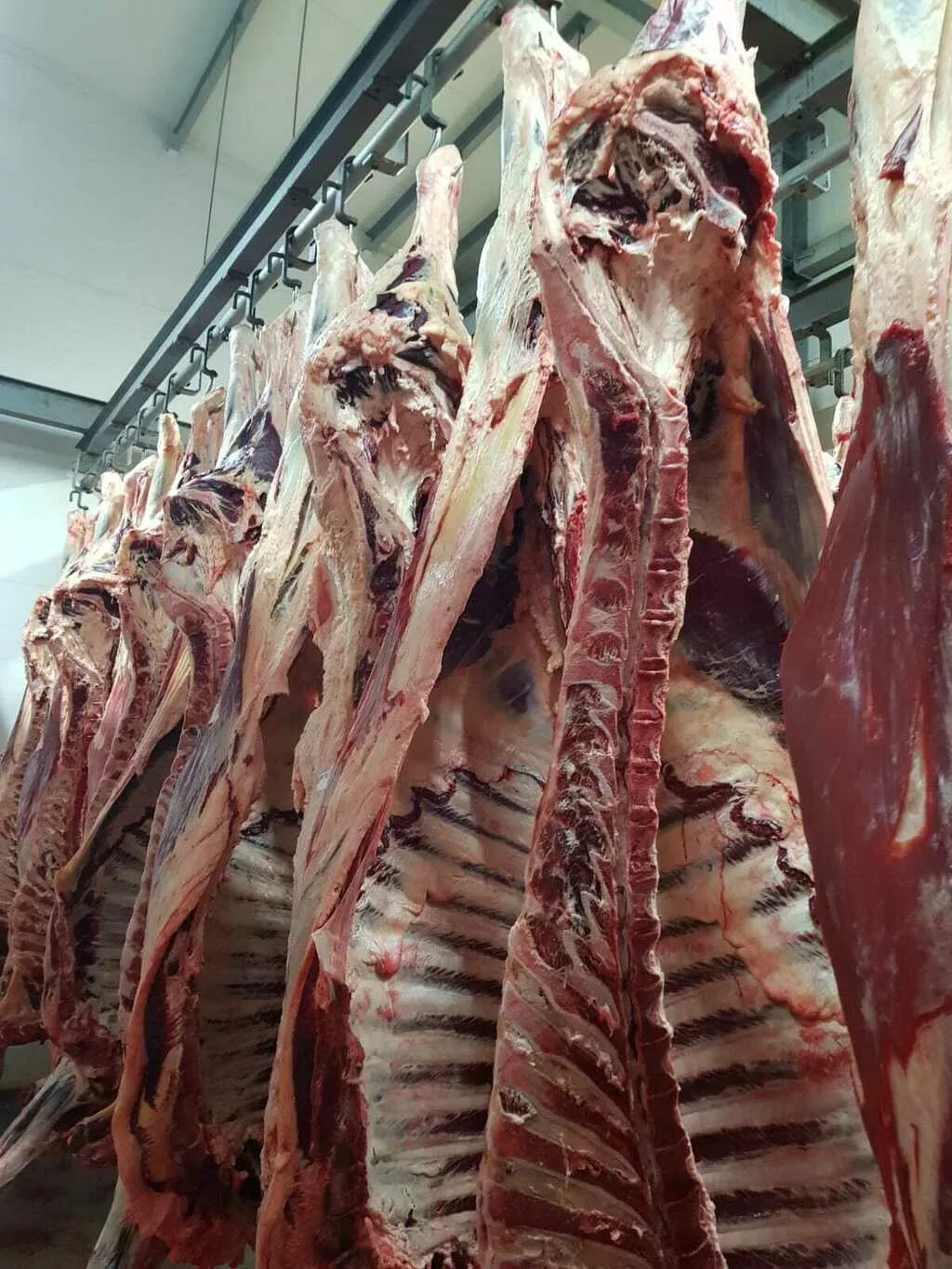 мясо говядины полутуши в Омске и Омской области