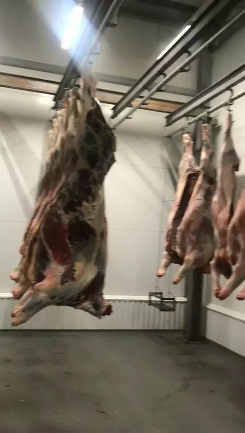 мясо говядины быки в Омске и Омской области 3