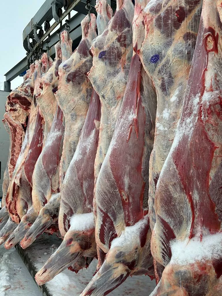 мясо говядина молодняк вышка  в Омске и Омской области