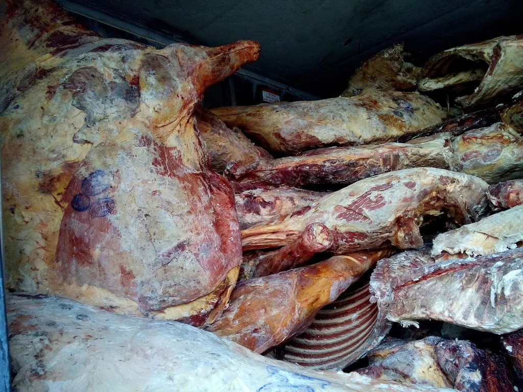 фотография продукта Акция На Мясо Конины Монголии