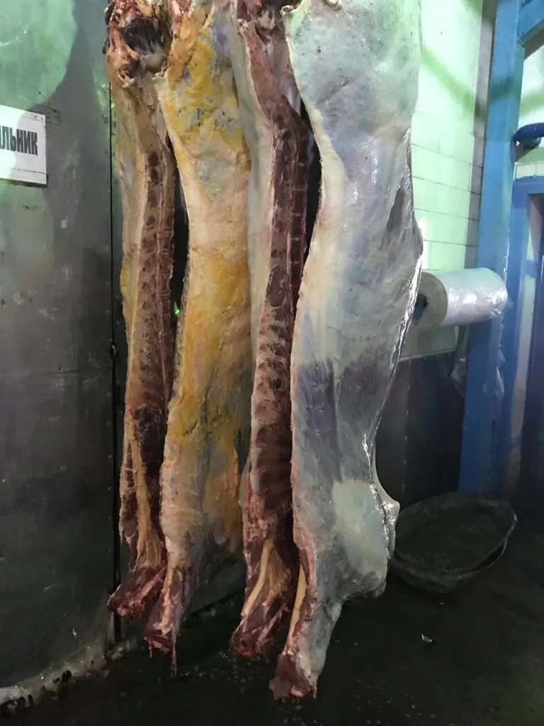 мясо говядины в Омске 9