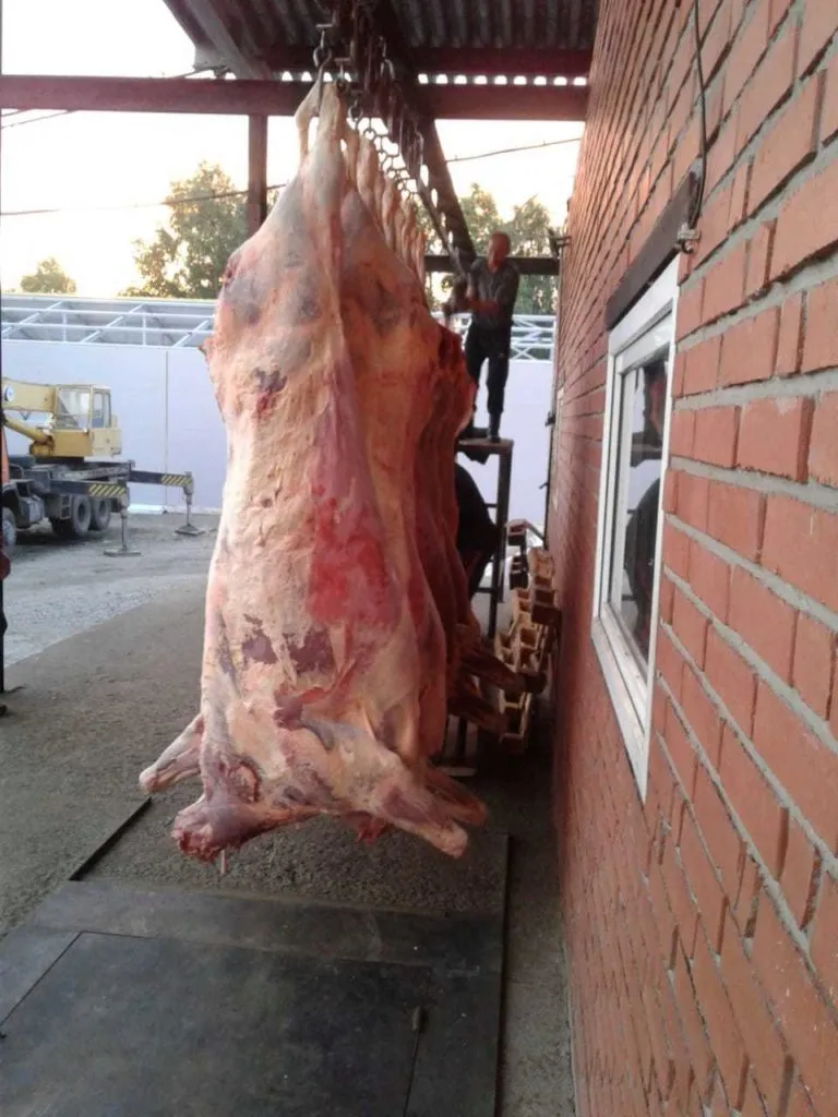мясо говядины в Омске 19