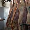 мясо говядины в Омске 7