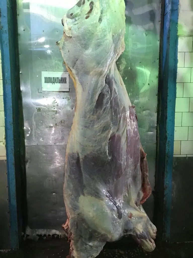 мясо говядины в Омске 3