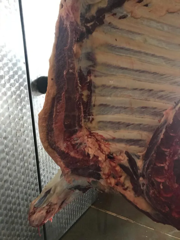 мясо говядины в Омске 6