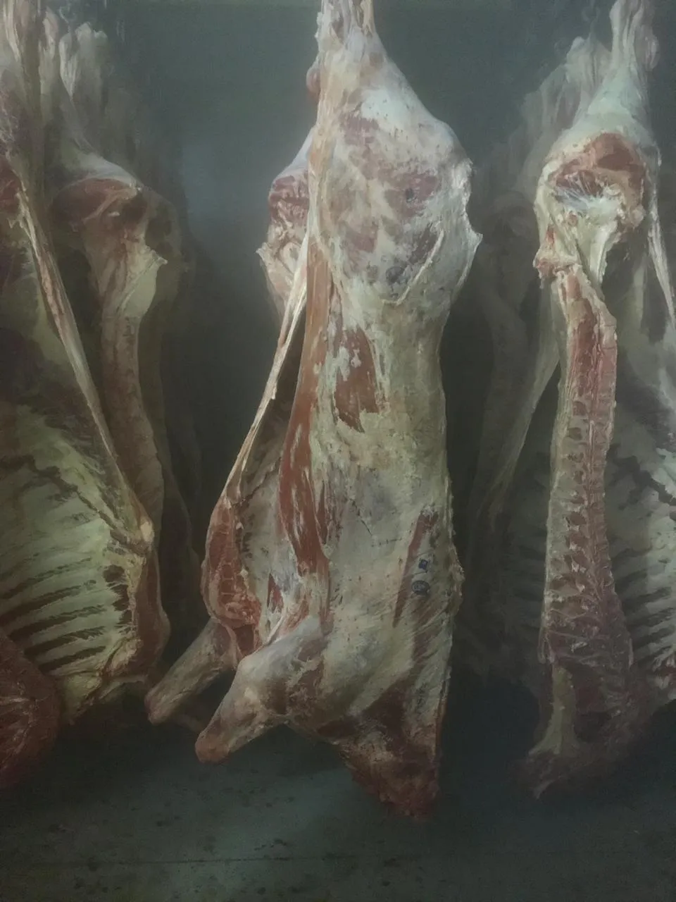 фотография продукта Мясо говядины на кости 1 кат, с НДС 