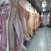 свинина в полутушах охлажденная  в Омске