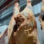 свежую заморозку говядина в четвертинах  в Омске и Омской области